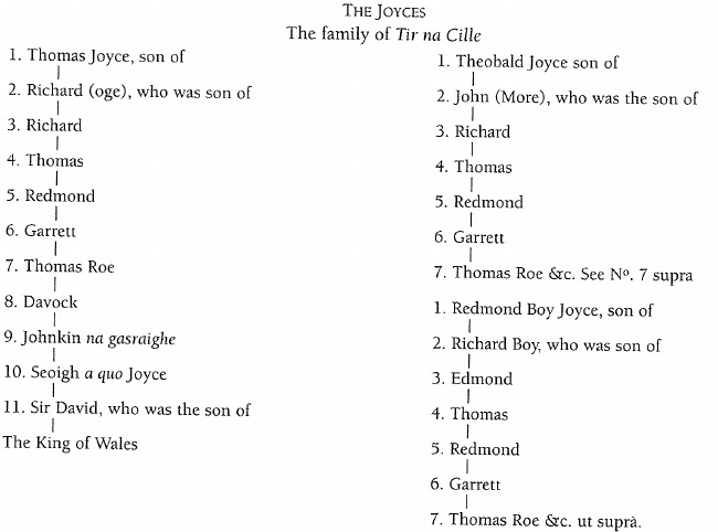 Family tree of Joyces of Tir na Cille.