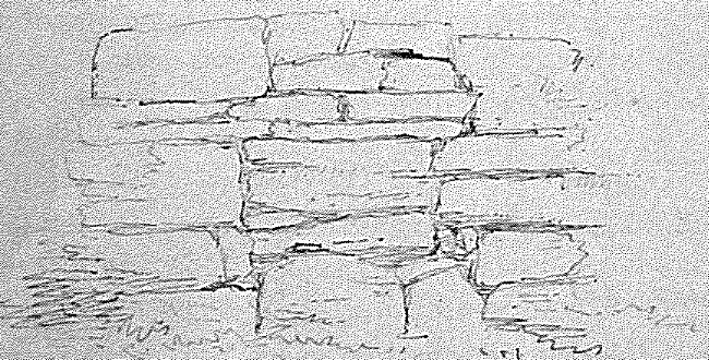 Part of the inner wall at Dun Aengus taken from the east; wall about 2 feet to an inch.