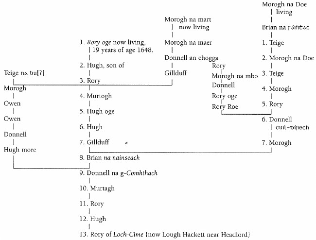 Pedigree of Rory oge.